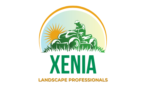 Bright landscaped yard scene